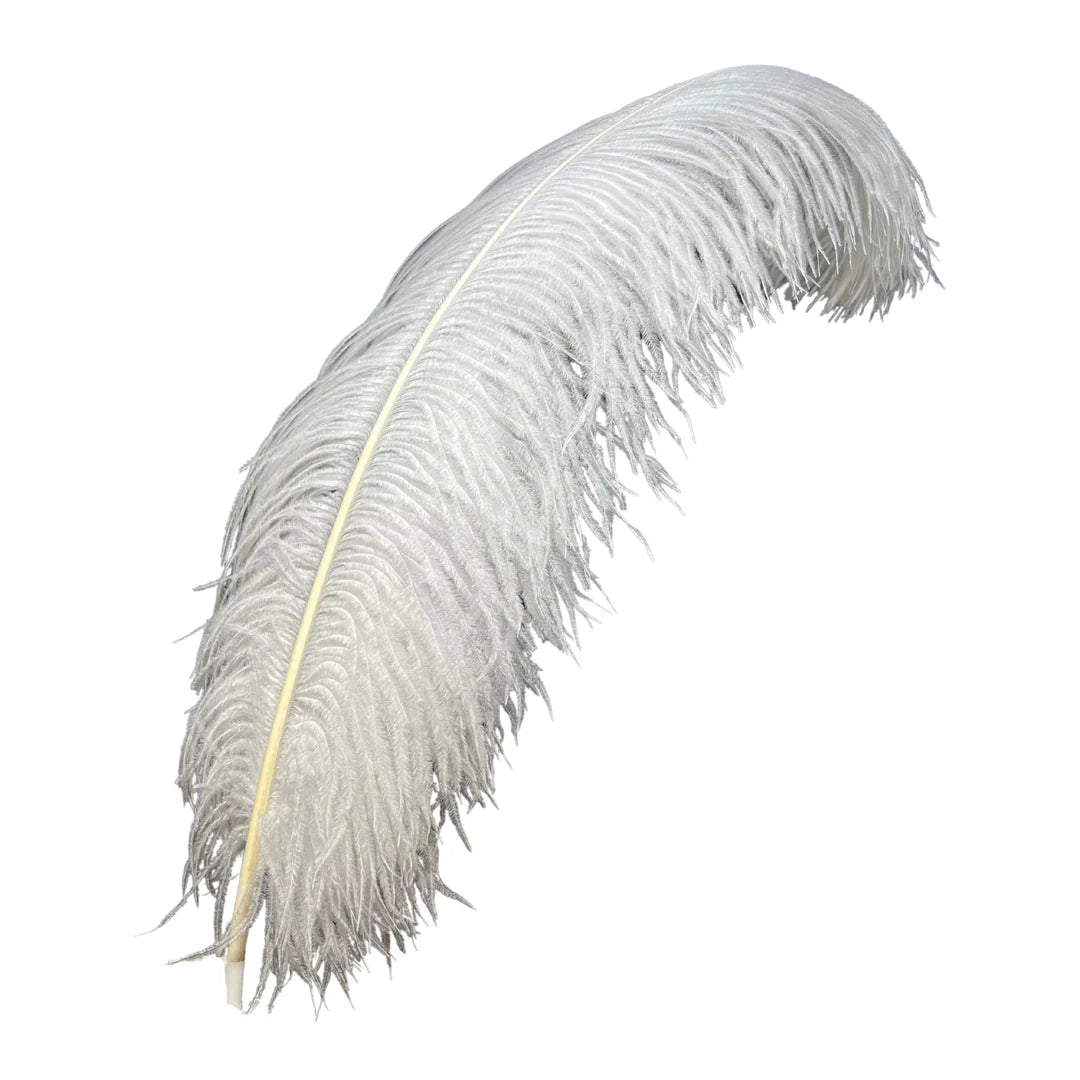 Feather Plums