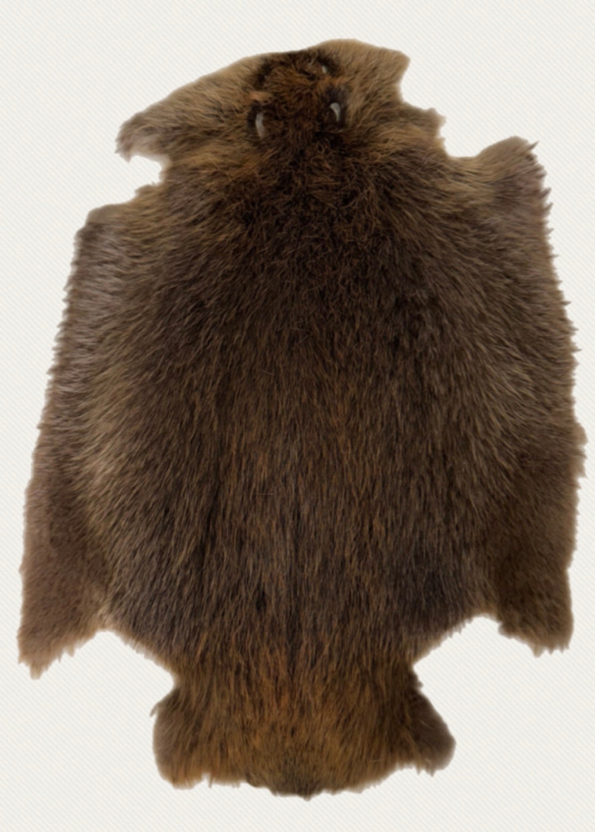 Beaver Pelt Fur
