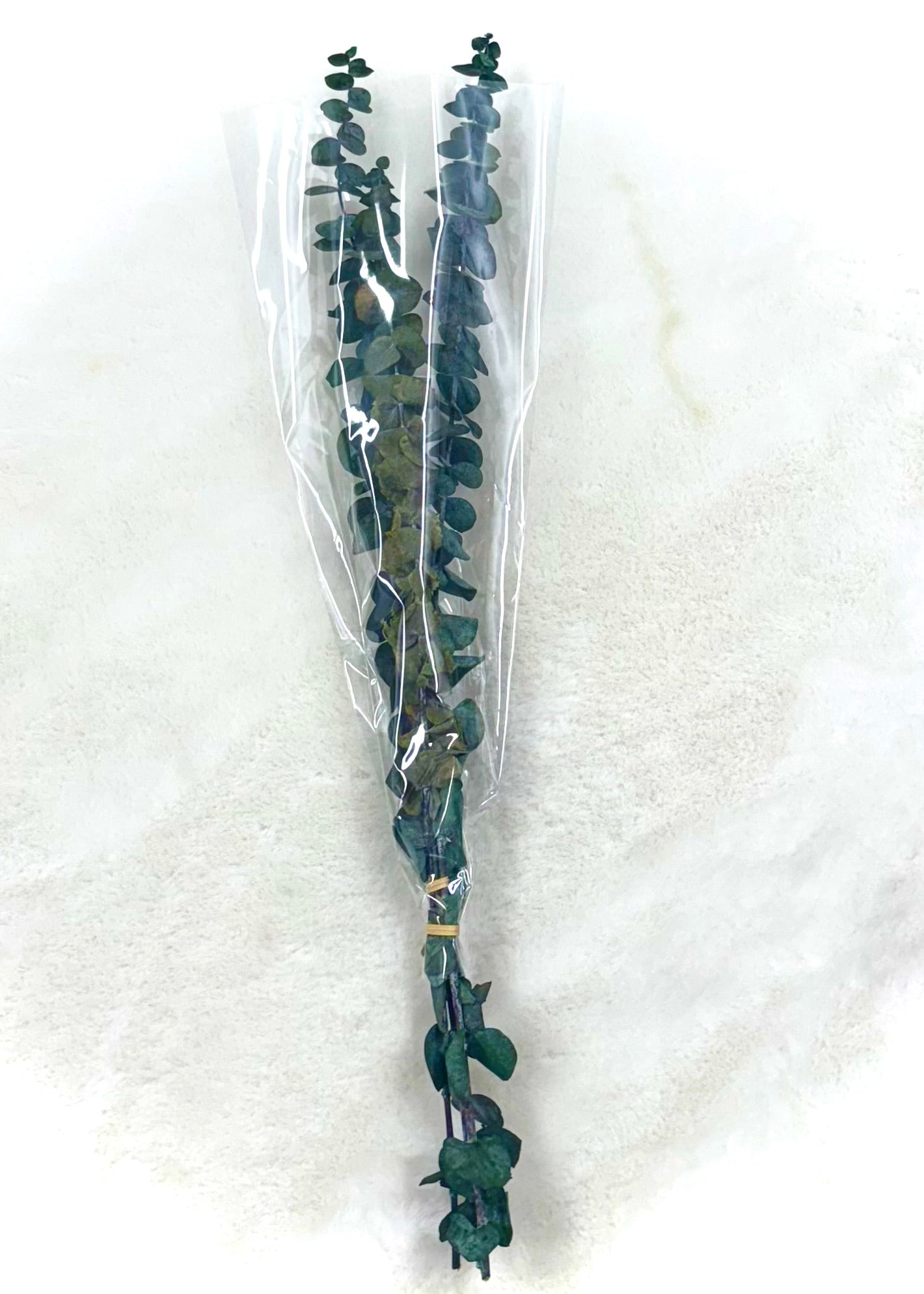 Eucalyptus 3PC Stems