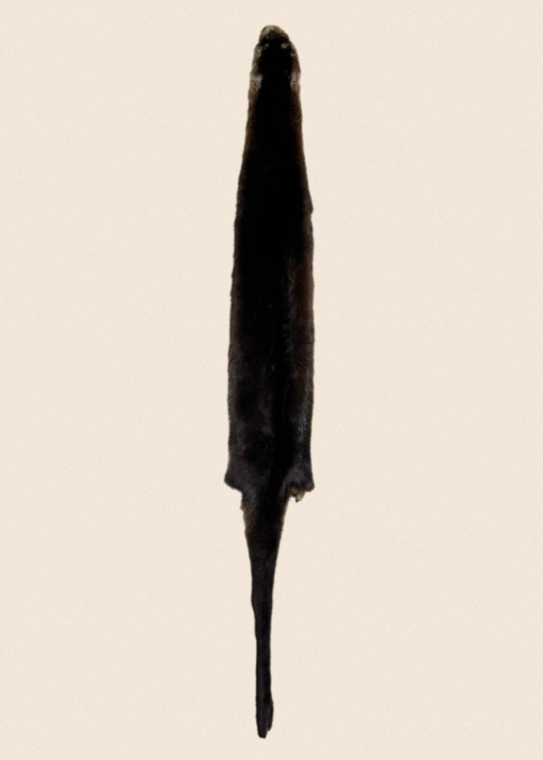 Brown Otter Fur