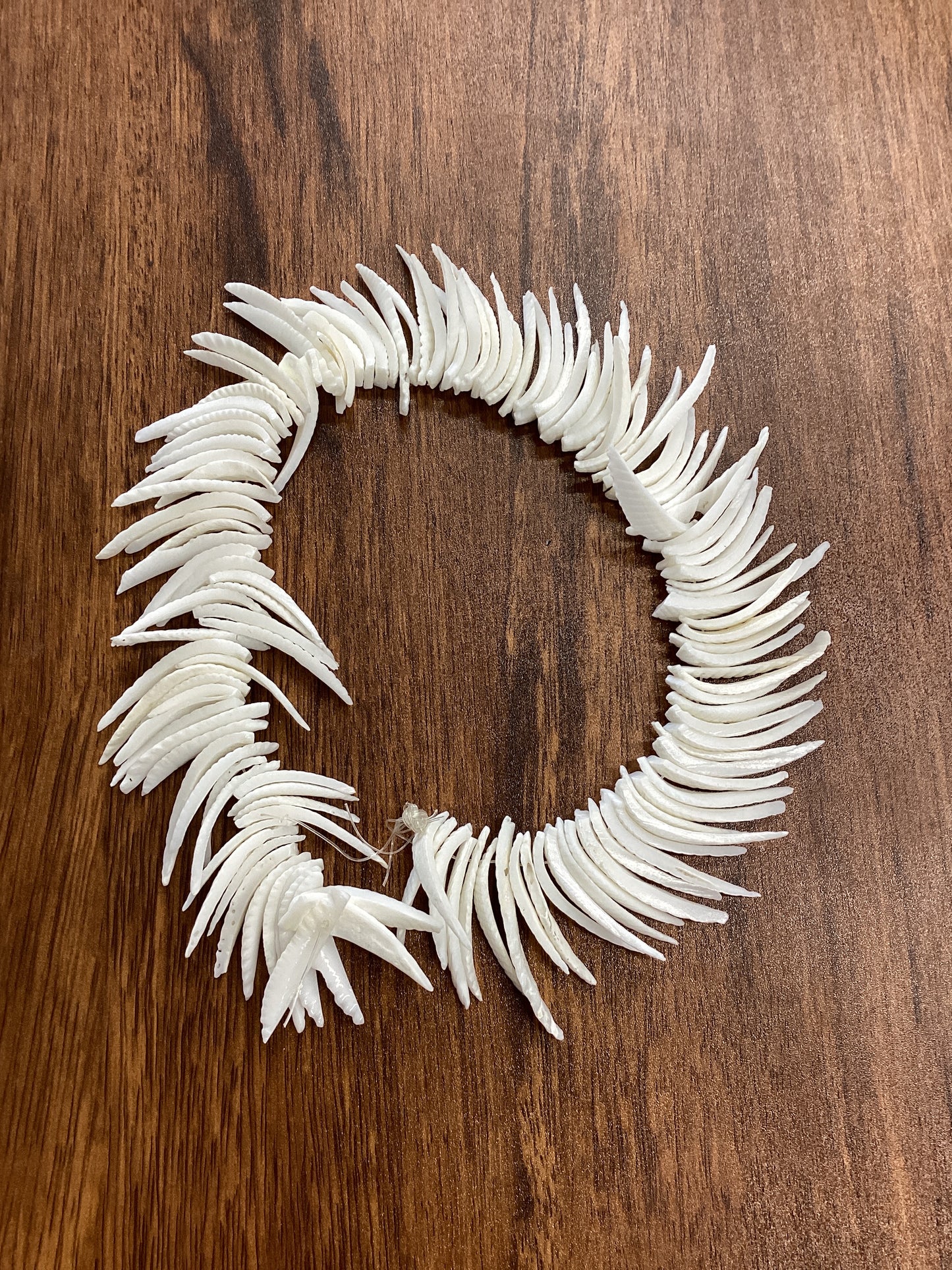 Shell Bead Packs