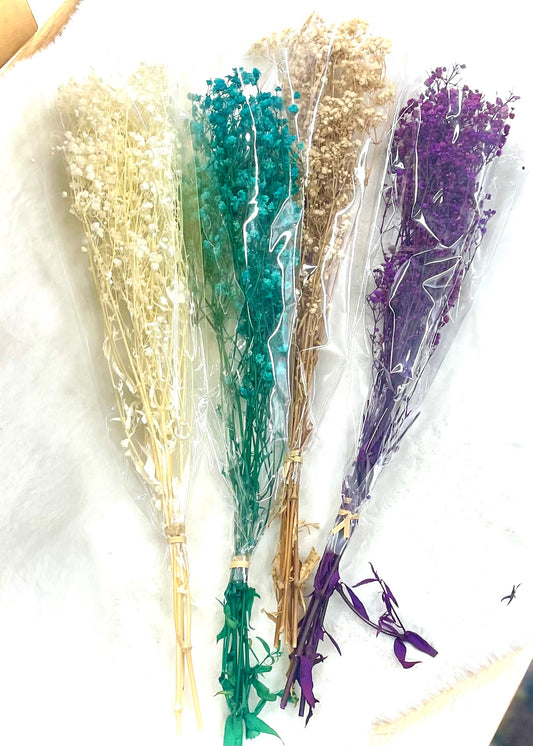 Baby’s Breath Stems