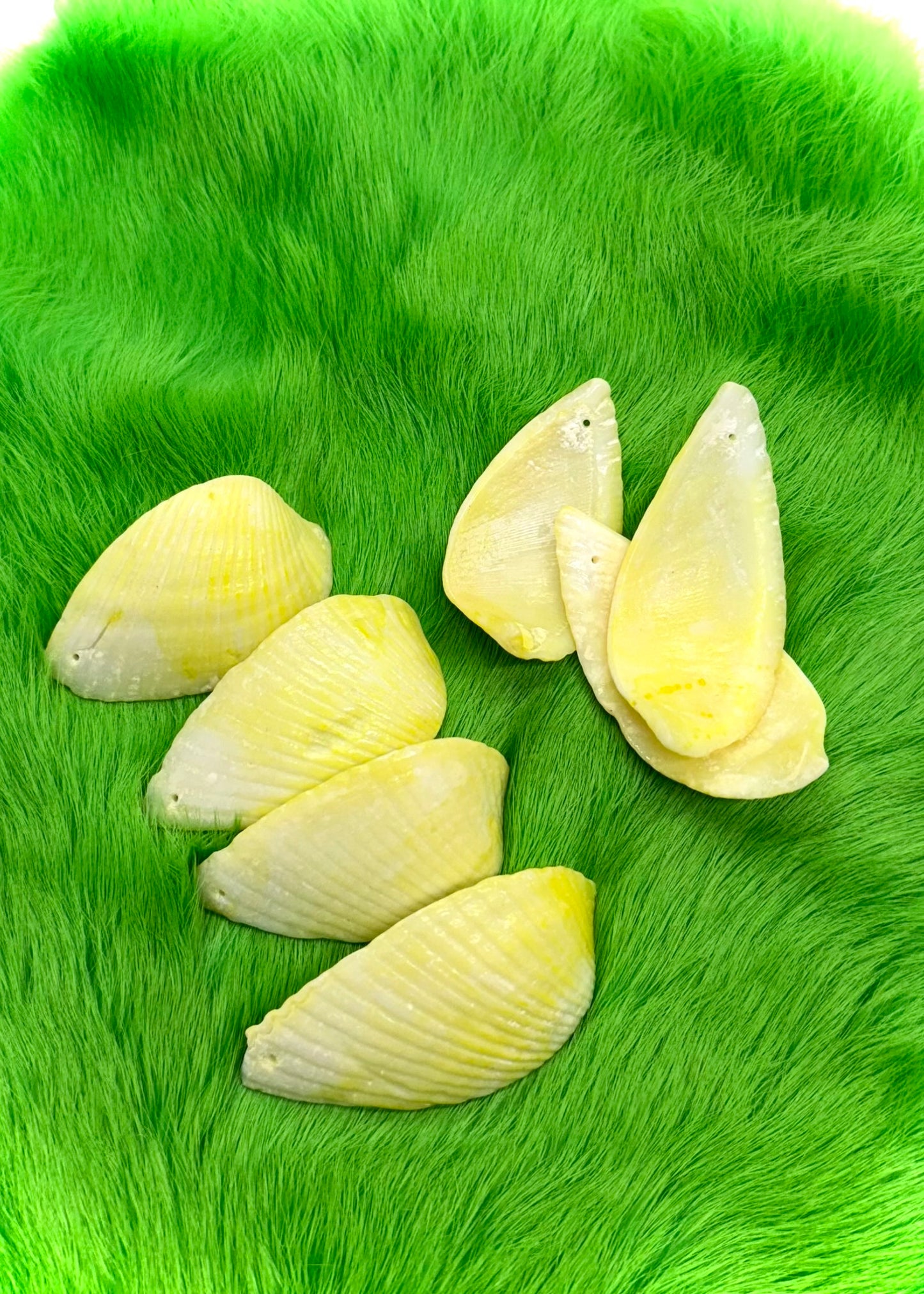 Shell Bead Packs
