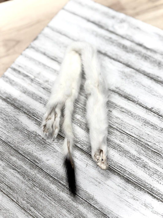 Ermine Fur Skin