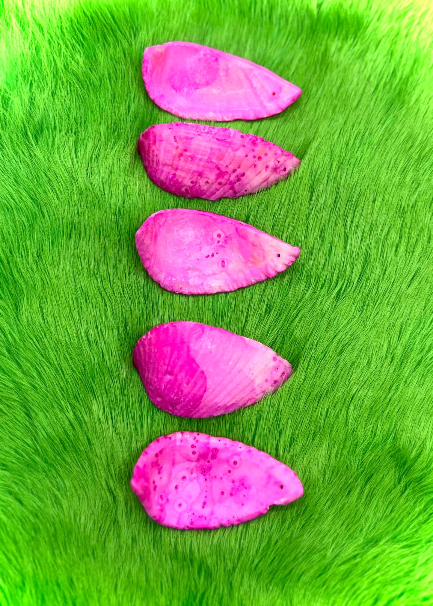 Shell Bead Packs