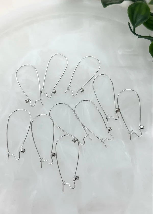 Kidney Ear Wire Hooks
