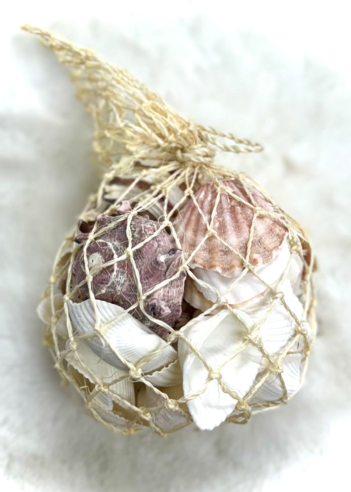 Seashell Bundles