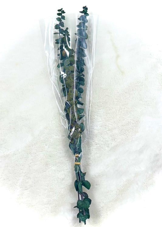 Eucalyptus 3PC Stems
