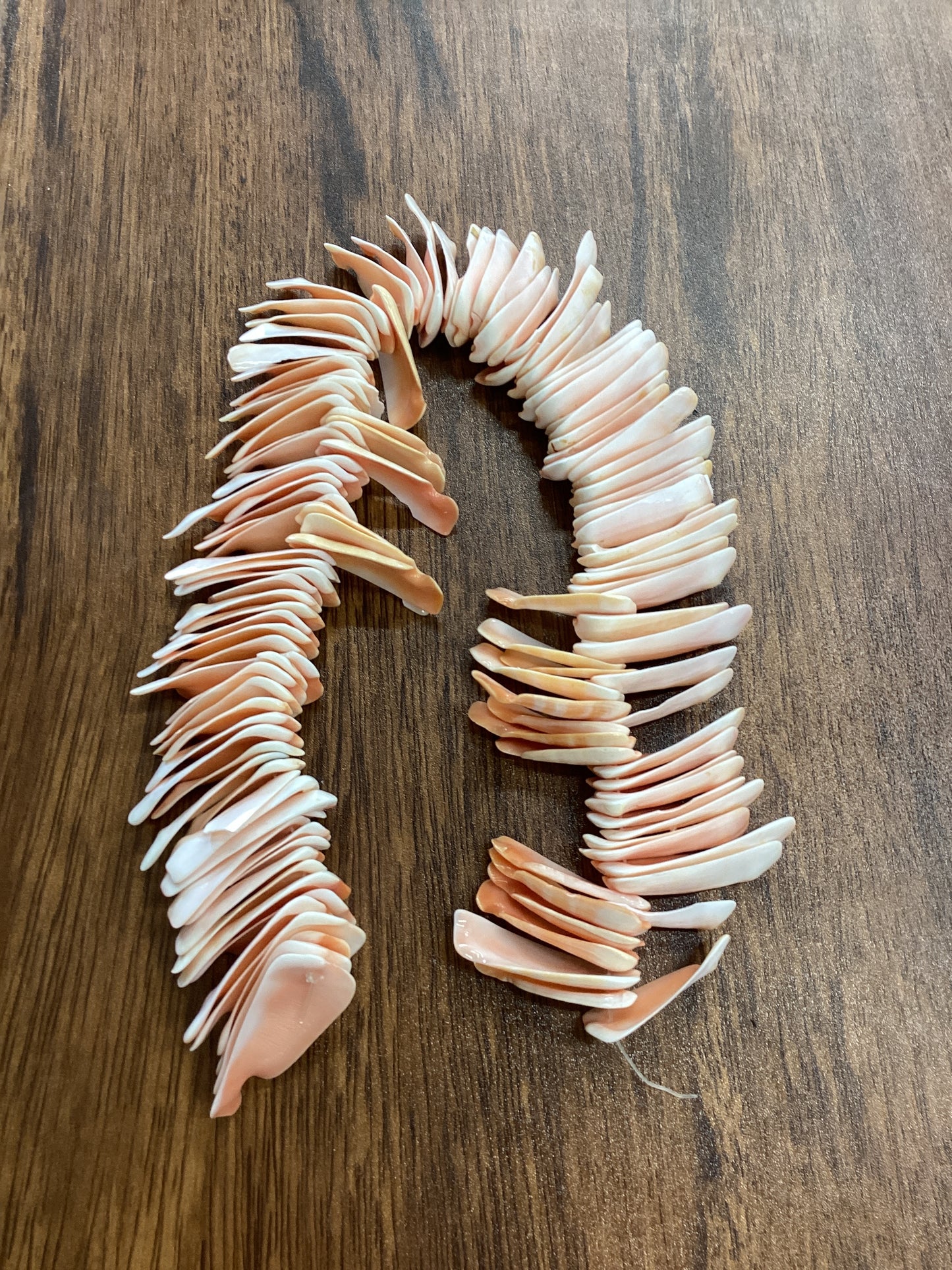 Shell Bead Packs