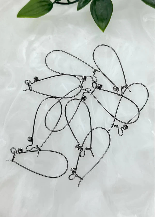 Kidney Ear Wire Hooks