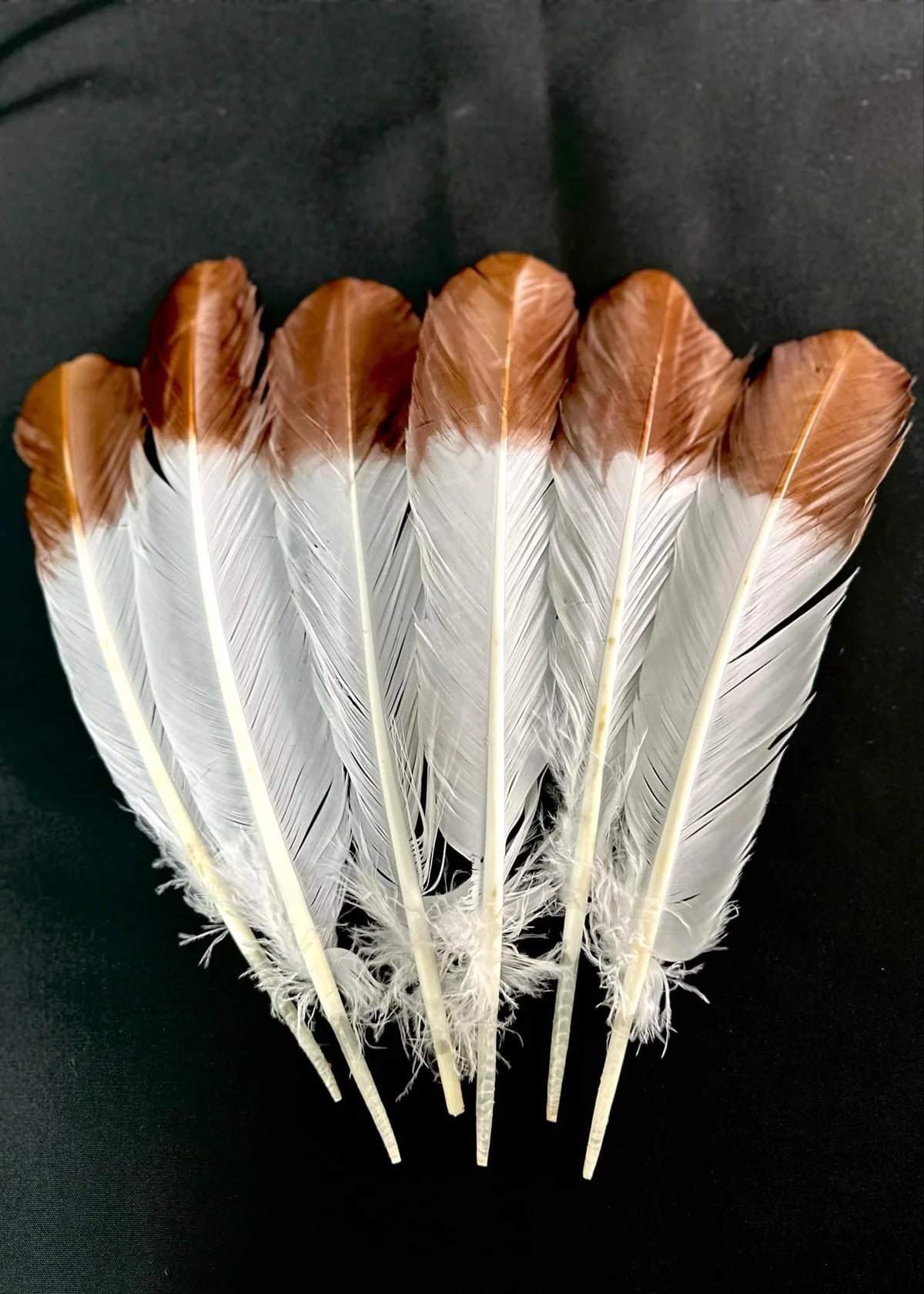 Imitation Feathers