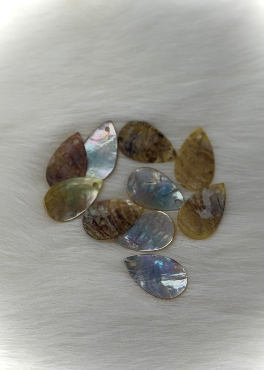 Shell Earring Pendants