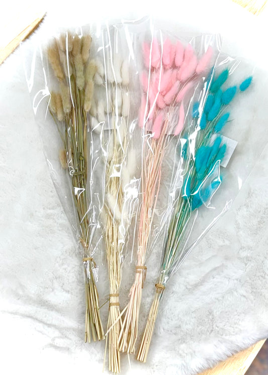 Bunny Tail Stems