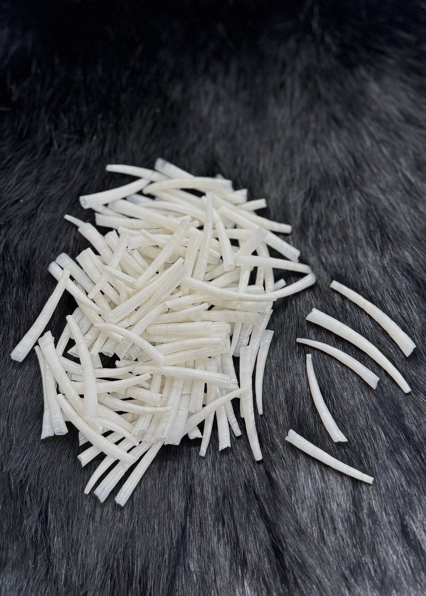 Smooth 50G Natural Dentalium Bags