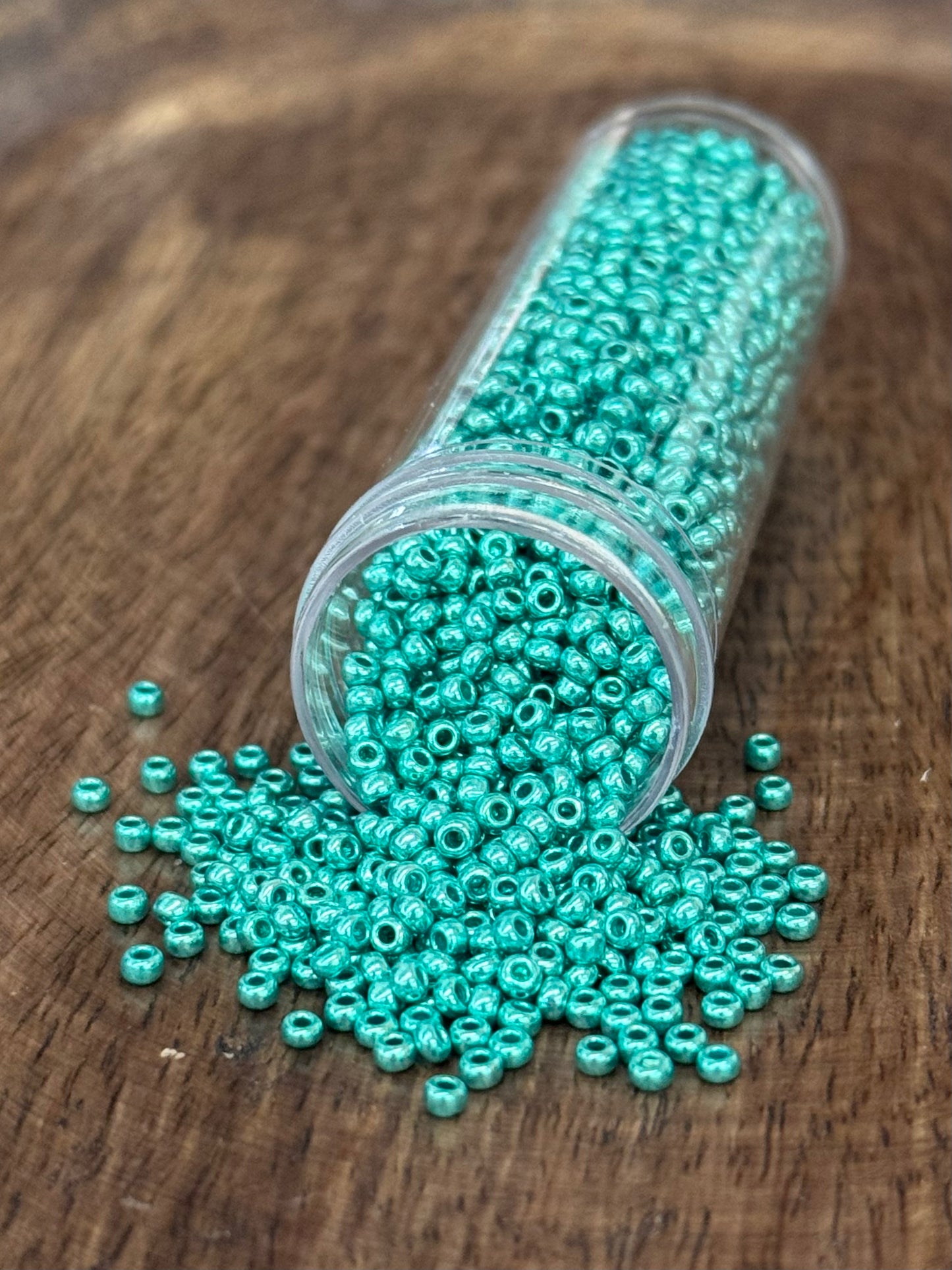 Size 10 Seed Bead 20g Vials