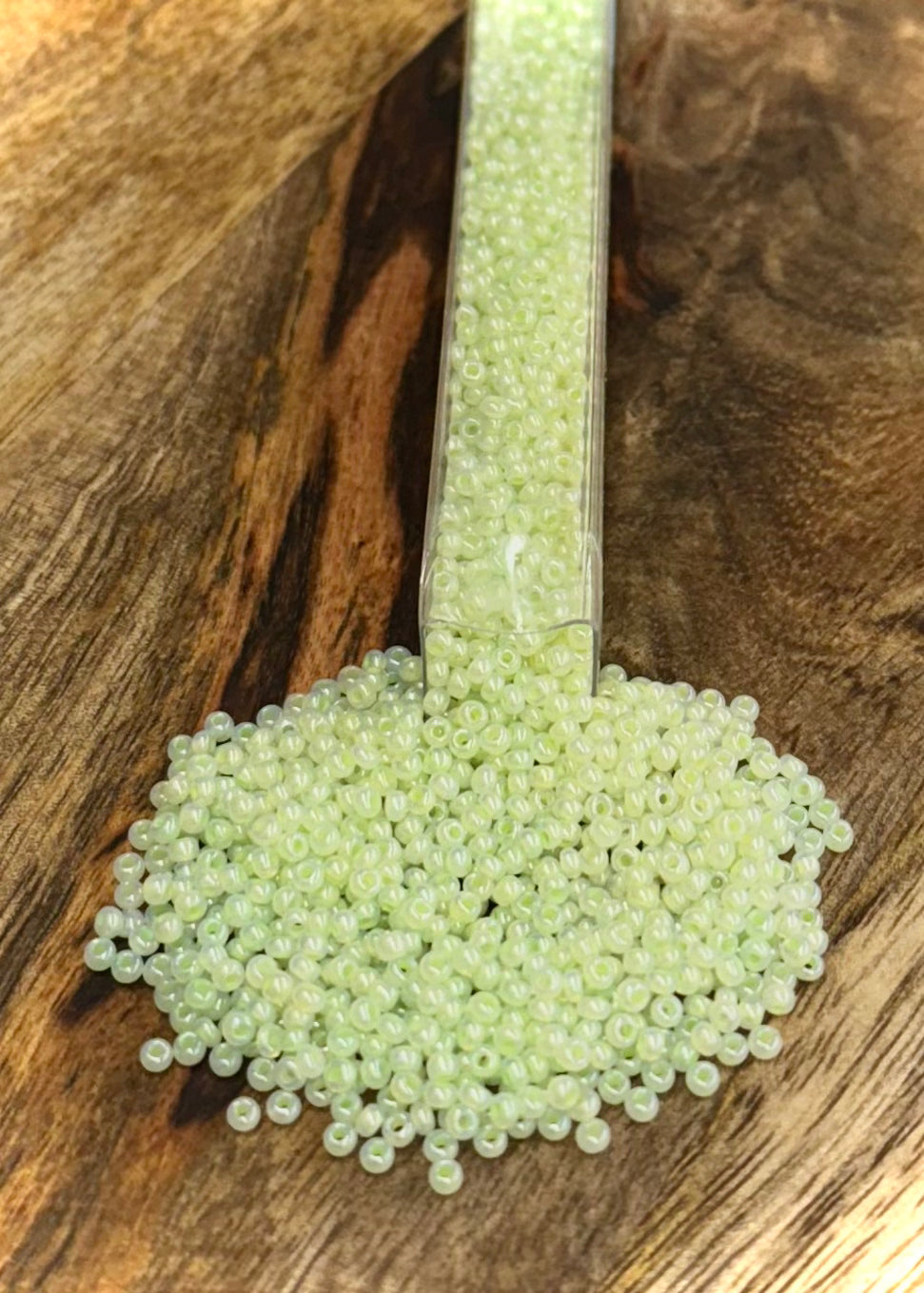 Size 10 Czech Seed Beads 24g Vial