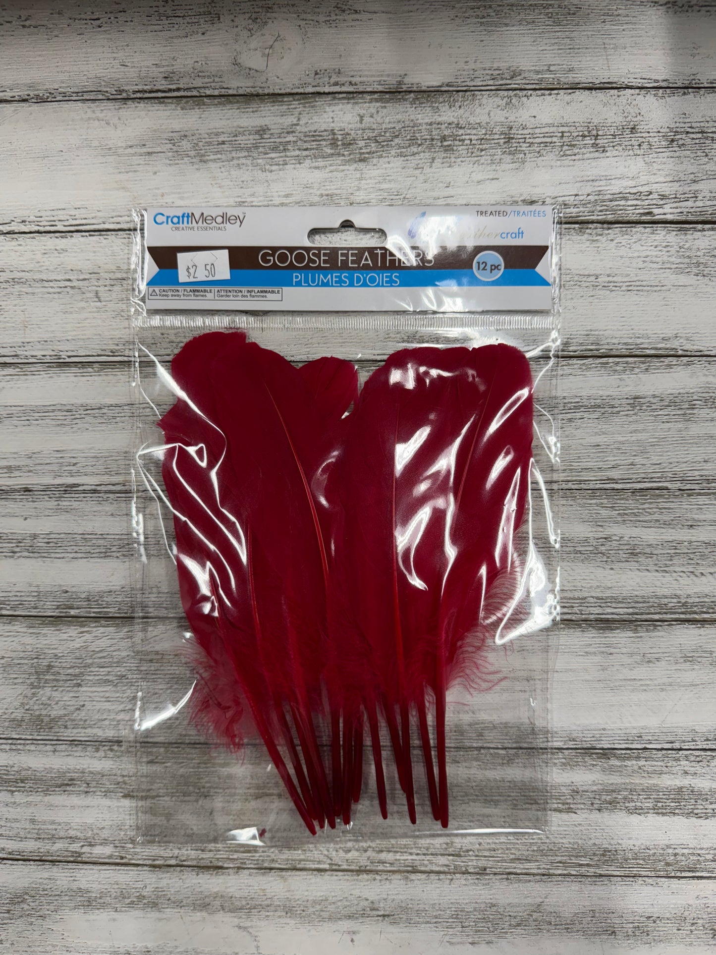 Goose Feathers 12PC
