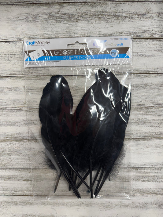 Goose Feathers 12PC