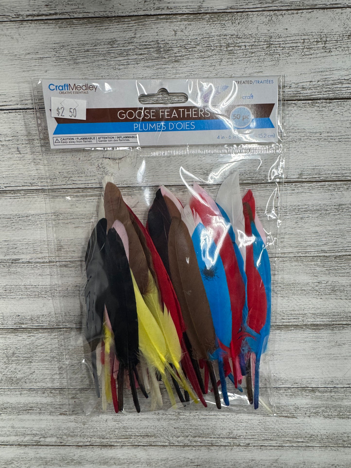 Goose Feathers 12PC