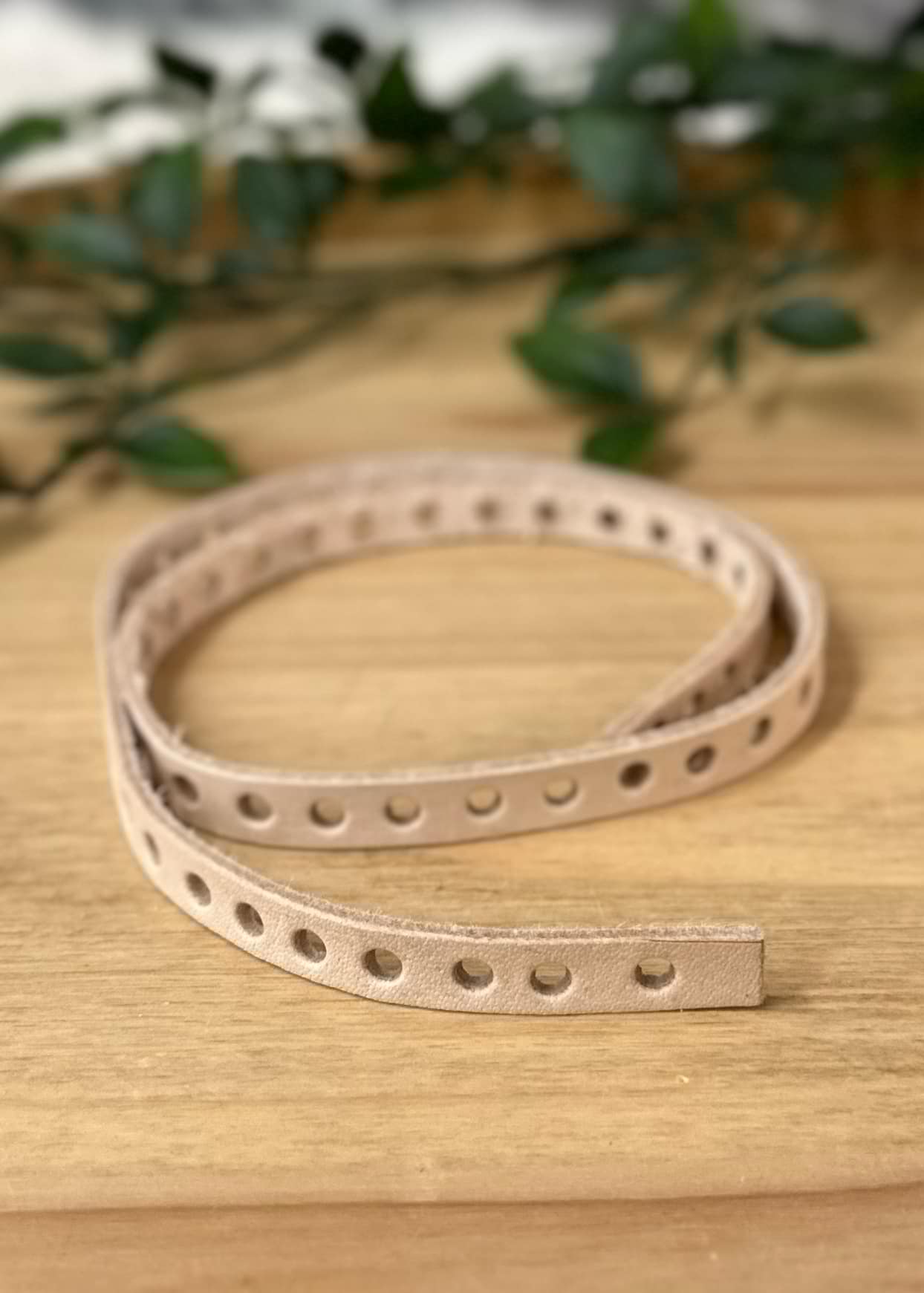 Breastplate Spacer Strips